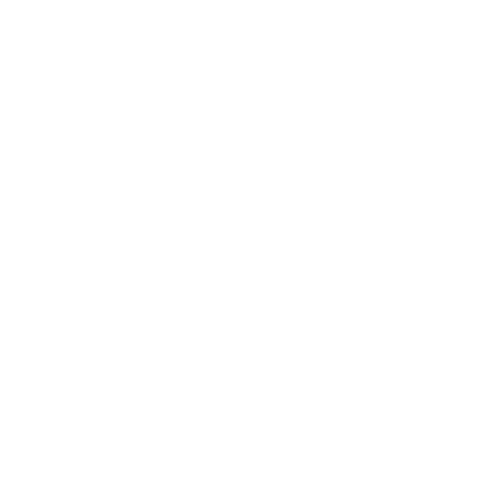 Never Give Up